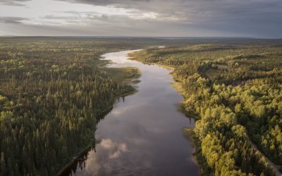 Looking Back on a Successful Year and Ahead to 2025: Discover the 2023-2024 Marketing Achievements for Eeyou Istchee Baie-James!